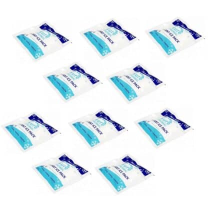 Bloc de glace à refroidissement instantané (lot de 10)
